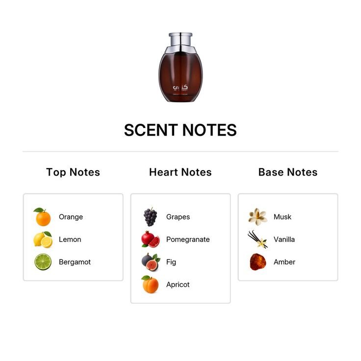 The Best Scent Notes to Warm Up Your Winter | Top Winter Fragrance Notes